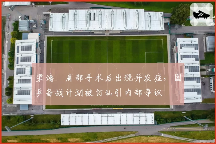 梁靖崑肩部手术后出现并发症，国乒备战计划被打乱引内部争议