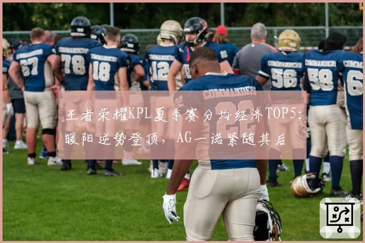 王者荣耀KPL夏季赛分均经济TOP5：暖阳逆势登顶，AG一诺紧随其后
