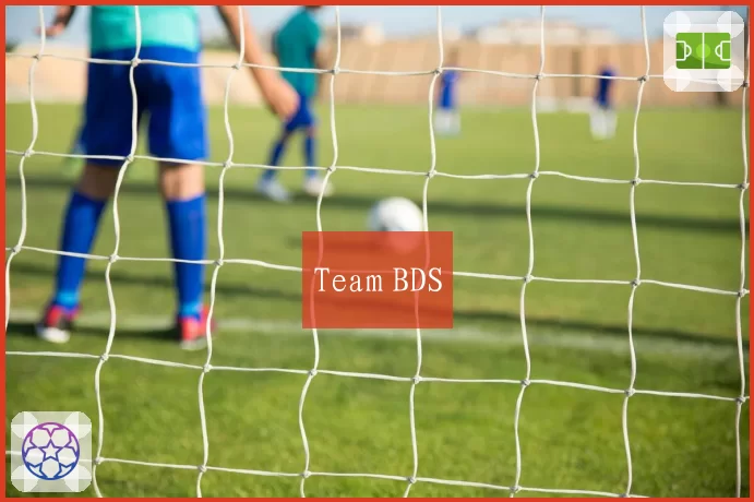 Team BDS